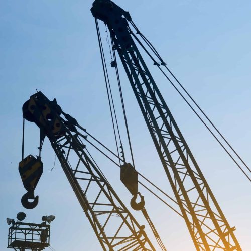 vertical-photo-crane-sunset